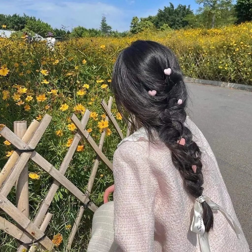 狼群的冲突